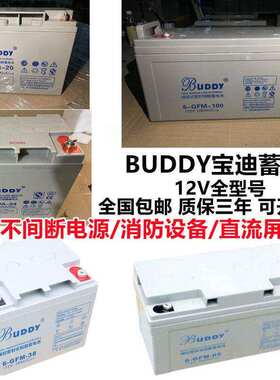 BUDDY宝迪蓄电池12V100AH消防17AH24AH38AH40AH65AH120AH150200AH