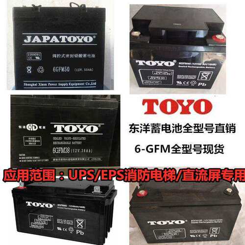 TOYO东洋蓄电池6-FM/GFM12V24AH38AH40AH65AH100A直流屏消防17A12