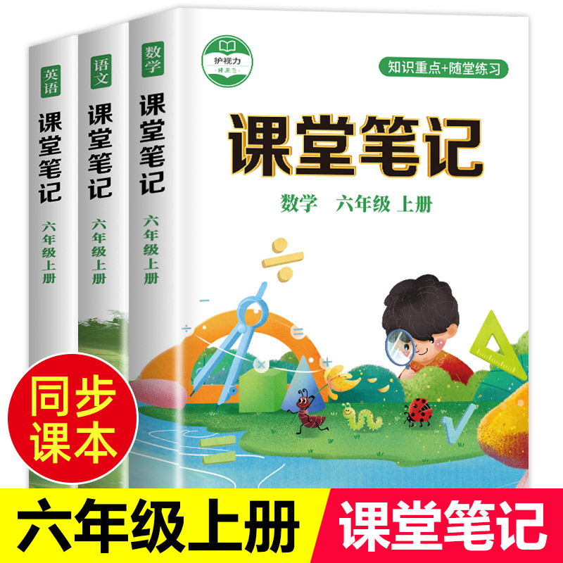 六年级上册课堂笔记全套