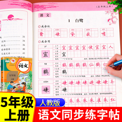 五年级上册同步练字帖人教版