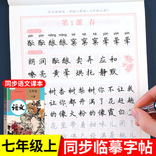 初一同步練字帖部編版 七年級(jí)上冊語文字帖 配套教材 7年級(jí)上學(xué)期課課練每日一練寫字帖 上 2023年寫字練字鋼筆描紅練習(xí) 人教版