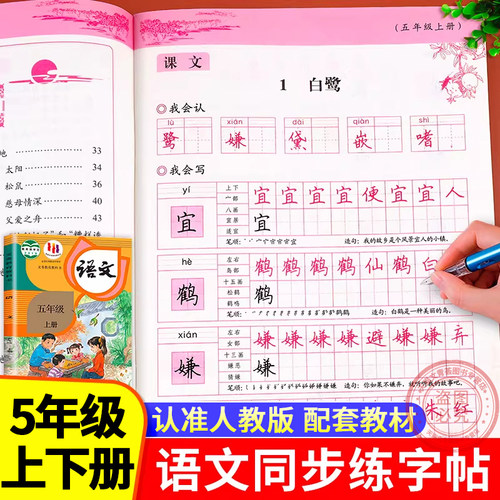 老师推荐】五年级同步字帖人教版