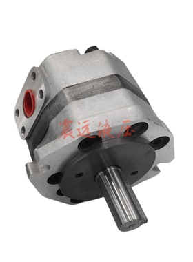 TCP4-31.5MR1液压齿轮泵5-F/L31.5/40/50/80/100/125-MR1/I-A油泵