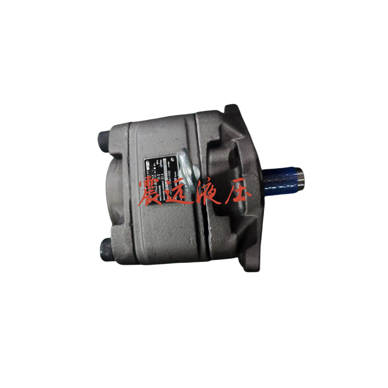 内啮合齿轮泵HG2-80-01R-VPC-36/100/125/160-01R-VPC 伺服油泵