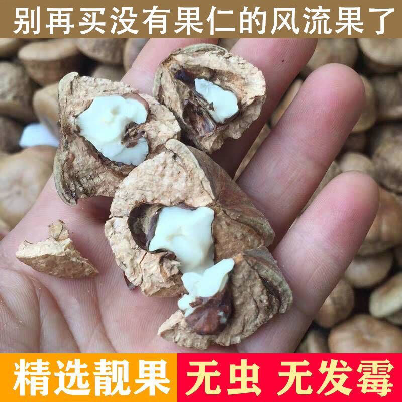 【野生精选风流果】广西石头果双肾阴阳子泡酒煮水养生材料产地