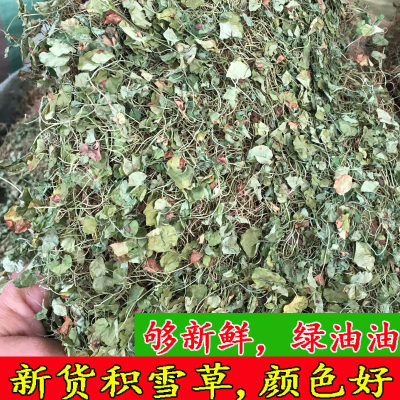 野生干货干中药材500g包邮积雪草