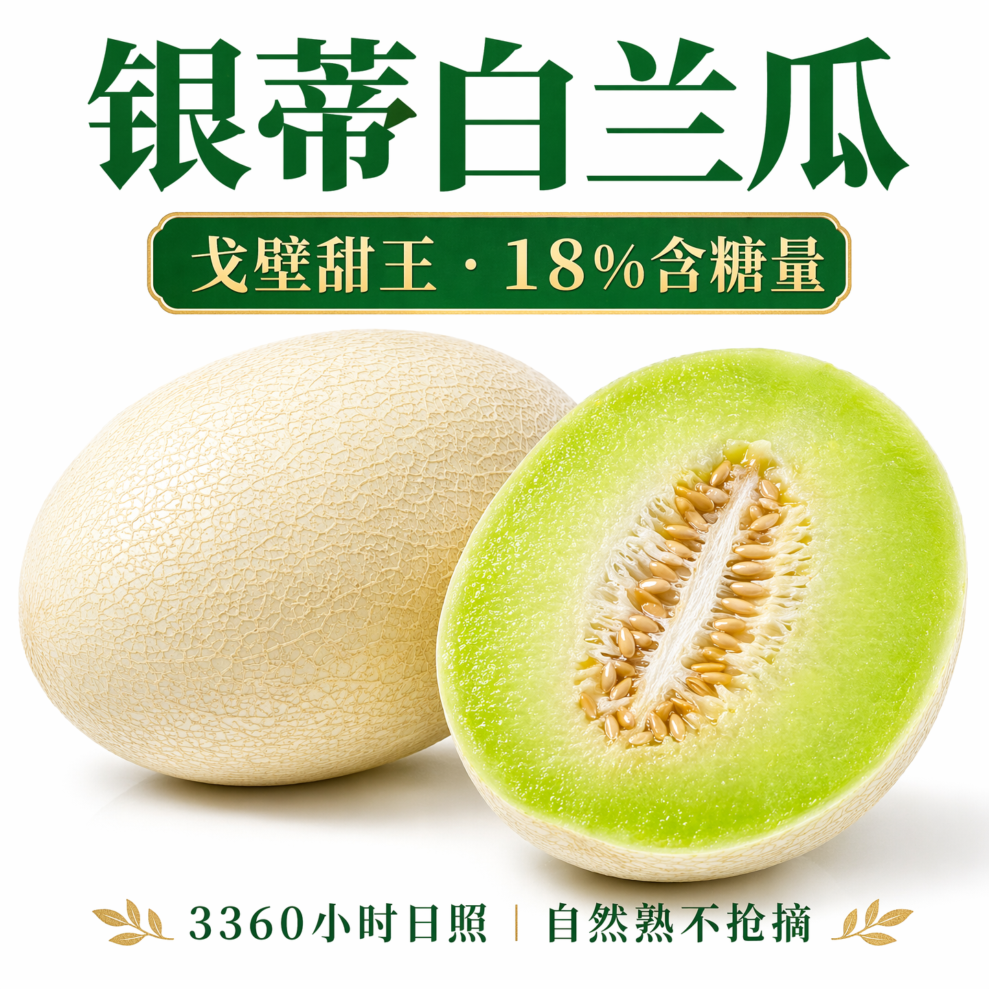 甘肃兰州白兰瓜银蒂甜瓜网纹沙漠戈壁哈密瓜新鲜水果蜜瓜整箱包邮