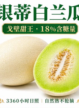 冰淇淋口感银蒂白兰瓜