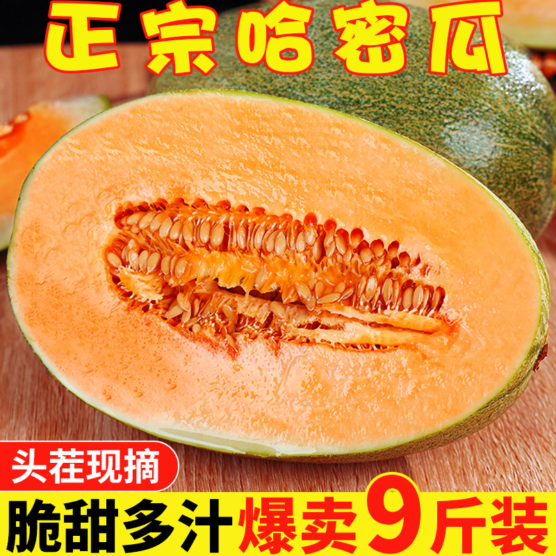 正宗哈密瓜脆甜西州蜜25号