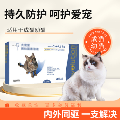 宠物用品宠爱一生猫咪保护套装每月一次安全放心家养用品