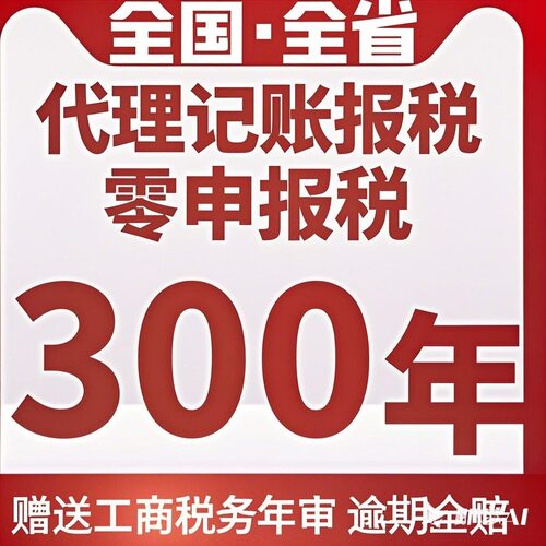 工商记账报税各类财务业务