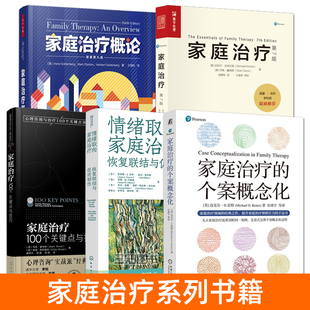 家庭治疗书籍 米纽庆 萨提亚 家庭治疗的个案概念化+概论+情绪取向+100个关键点与技巧+如何做家庭治疗技术+夫妻+伴侣 入门教材