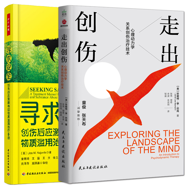 走出创伤：心理动力学关系创伤治疗技术
