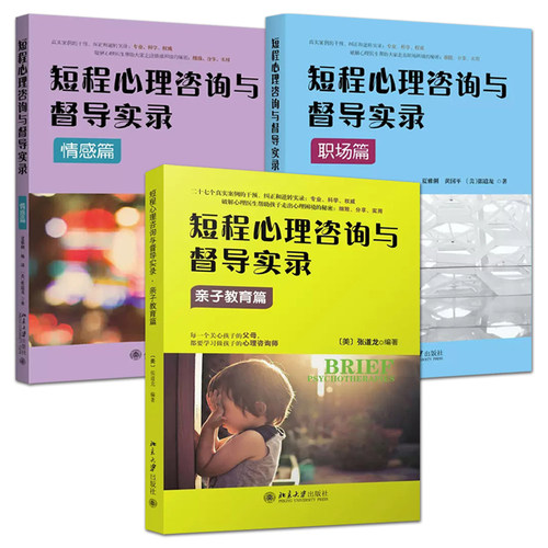 短程心理咨询与督导实录