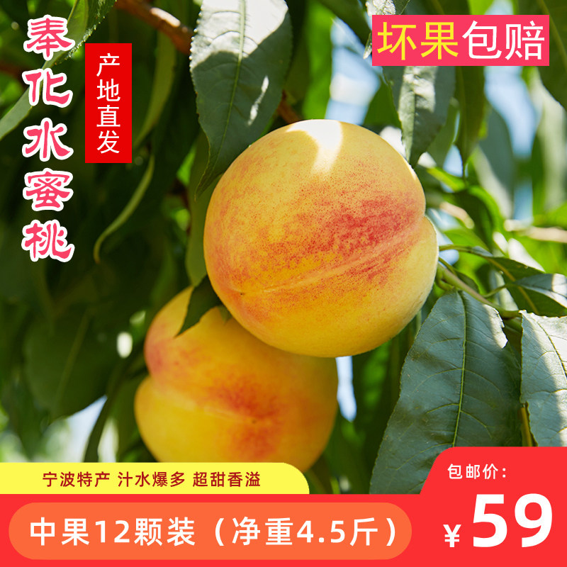 宁波奉化水蜜桃欢喜奉桃4.5斤