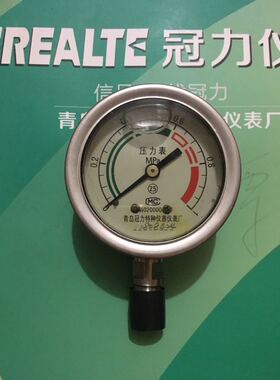YTNF(S)60不锈钢压力表青岛冠力特种仪器仪表厂
