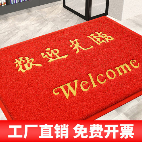 大门口出入平安地垫进门厅塑料丝圈欢迎光临脚垫地毯入户门垫定制 - 封面