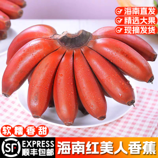 包邮 海南红美人香蕉热带孕妇当季 新鲜水果软糯红皮咖啡蕉现摘顺丰