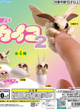 可爱蚕宝宝P2  日本正版 epoch 蛾宝宝模型 飞蛾 摆件 吊饰 扭蛋