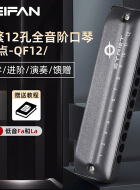 专业演奏12孔布鲁斯口琴全音阶低音带FaLa初学者成人演奏口琴乐器