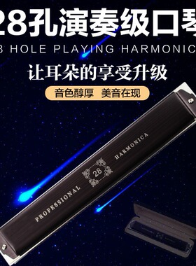 28孔复音C调成人专业演奏口琴铜座板夹片式金属乐器易吹易学