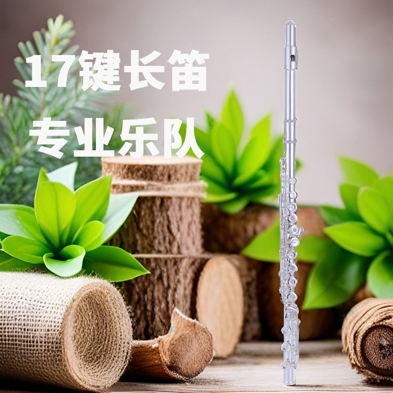 长笛白铜按键E键分割C调镀银17开孔法式按键专业乐队演奏