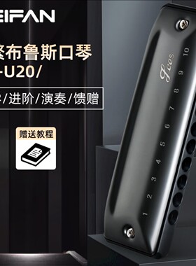 高档十孔c调圆孔布鲁斯口琴paddy成人男士初学蓝调学生专业演奏