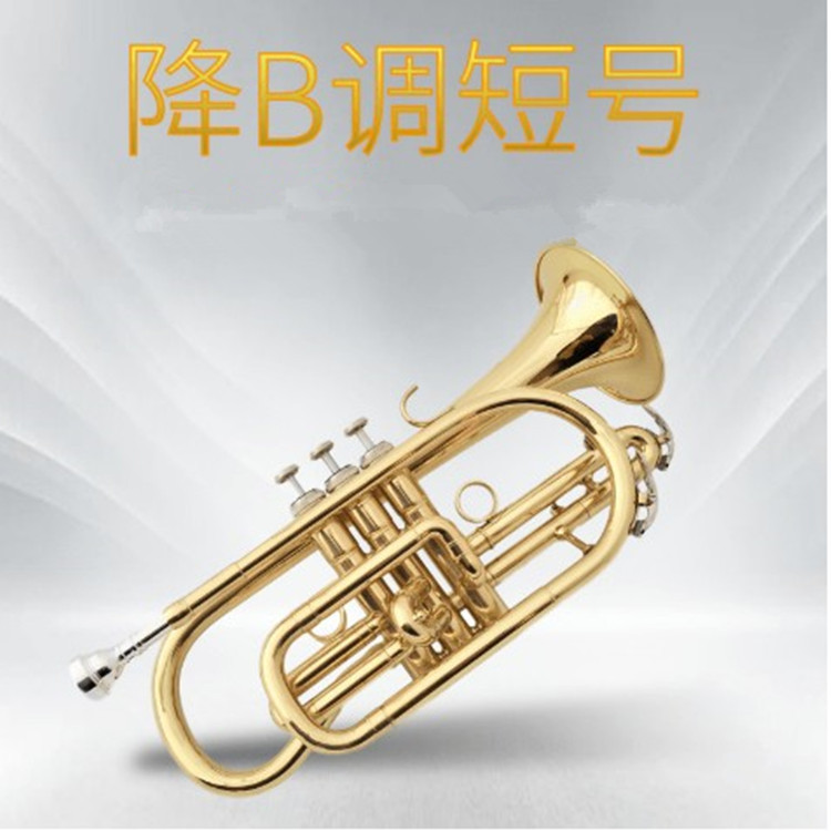 铜管吹奏乐器降B调短号乐器小号乐器专业演奏表面漆金厂家