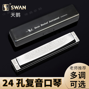 天鹅24孔复音C调单音口琴初学者儿童成人A/B/D/E/F/G#降调级