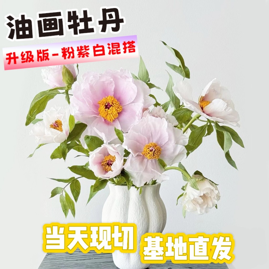油画牡丹牡丹花洛阳牡丹鲜切花基地顺丰包邮鲜花礼物盲盒多色混搭
