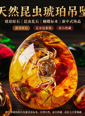 琥珀石纯天然昆虫制作化活