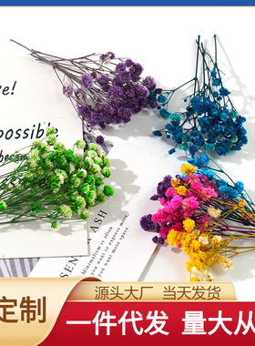 满天星干花滴胶模具制作填充物DIY书签材料保鲜花花材