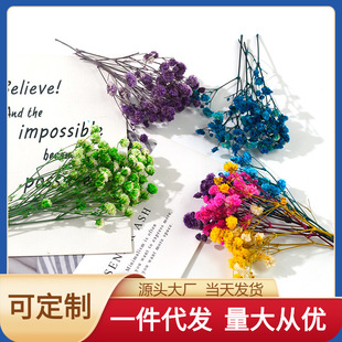 满天星干花滴胶模具制作填充物DIY书签材料保鲜花花材