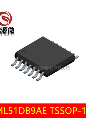 NUVOTON/新唐MCU ML51DB9AE TSSOP-14 原装   量大价优 可出样品