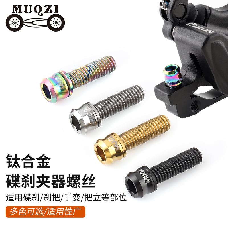 M6*17/19mm夹器碟刹座刹把螺丝