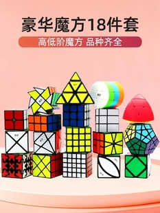 全套金字塔镜面枫叶粽子全系列顺滑益智玩具 奇艺魔方正阶异形套装