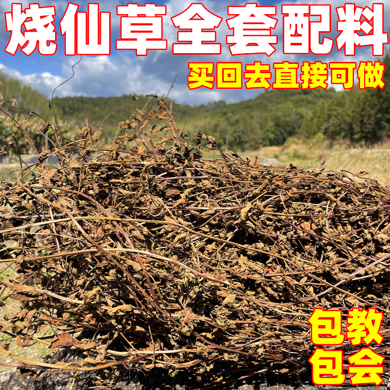 仙草 新鲜草干黑凉粉草粿草烧仙草冻正宗仙人草粉龟苓膏全套配料