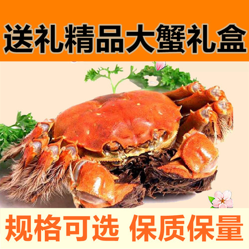 套餐8只精品礼盒大闸蟹