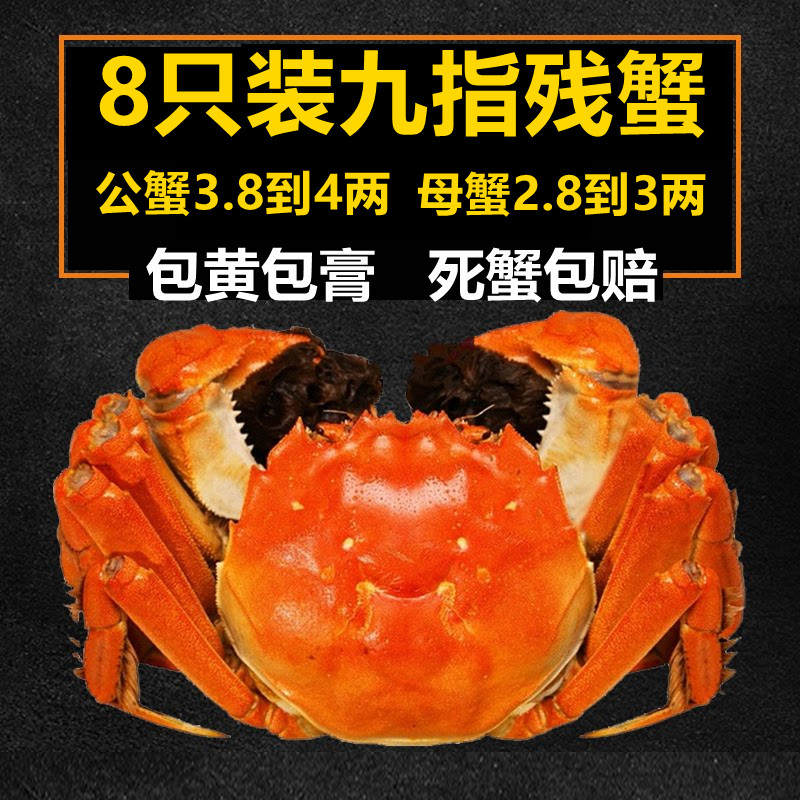 固城湖净重8只鲜活大闸蟹