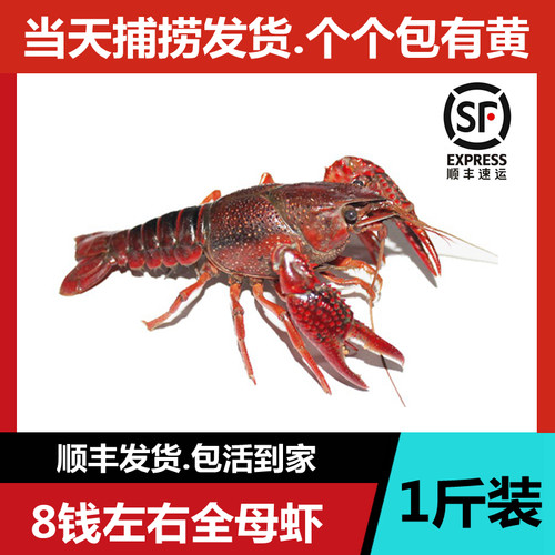 自产自销顺丰鲜活到家