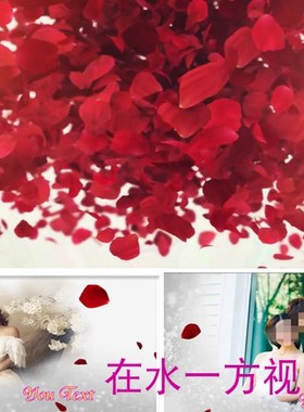 H10唯美浪漫edius婚礼婚庆迎宾片头视频模板婚礼结婚开场模板