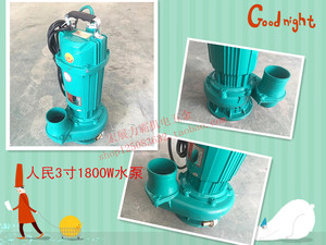 人民220V不锈钢/铁水泵农用污水泵 家用抽水泵潜水泵灌溉施肥两用