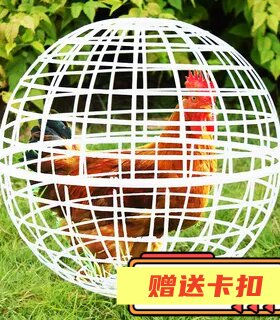 网红走地鸡笼子塑料球形遛鸡笼
