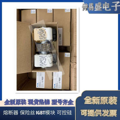 美国BUSSMANN熔断器170M6696  170M6697 170M6698 170M6699
