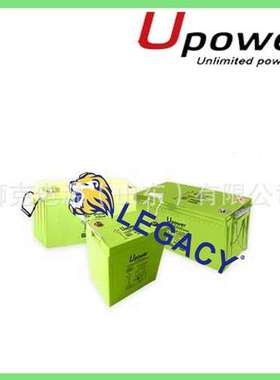 美国UPOWER蓄电池12V24V36V48V80V动力牵引叉车电池组/电瓶组