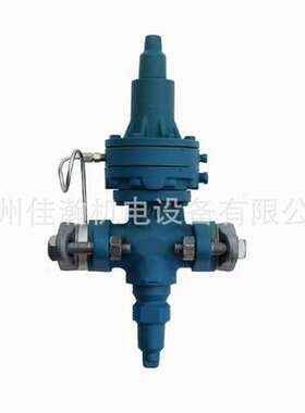 原装 德国派克Parker  安全阀A4AL-DN DN20 27BAR 400PSI