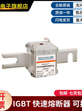 PC31UD69V250D1A-J300020 PC31UD69V250EF-D300038罗兰快速熔断器