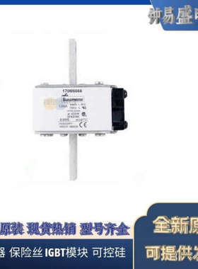 美国BUSSMANN熔断器170M6066  170M6067  170M6068  170M6069