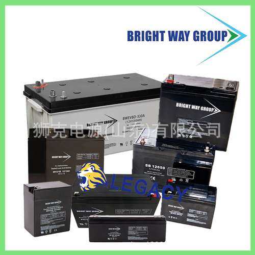 美国BRIGHT WAY GROUP蓄电池BW12120F1/F2/NB、BW1213铅酸电瓶