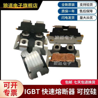 IGBT功率模块全新正品原装IXYN100N120C3H1 IXDN55N120D1型号齐全